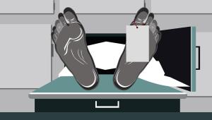 Dead body