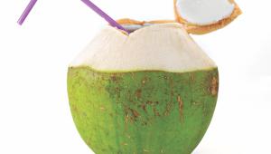 coconut