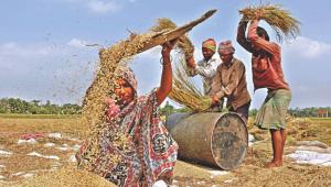 Inclusive income.jpg