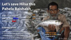 save-hilsa
