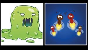 Slime.jpg