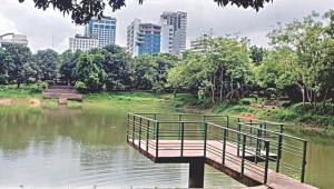 social responsibility