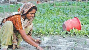 Sustainable development 1.jpg