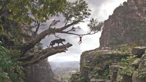 The Jungle Book