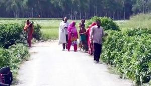 Unused roadside land Palashbari.jpg