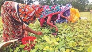 Women’s land rights.jpg