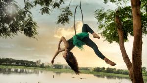 The many faces of freedom 