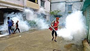 Dengue deaths in Bangladesh 2024