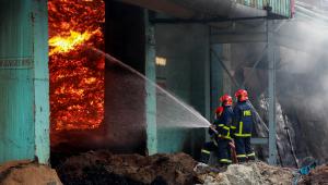 Pursuit of profit and our burning cities