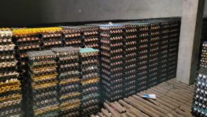 reasons behind egg price hike