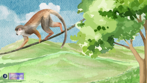 a night in kalimpong fiction