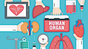 human-organ-transplantation.jpg
