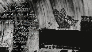 star literature poetry 