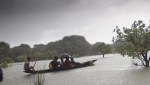 Ratargul and rain: A monsoon tale in motion