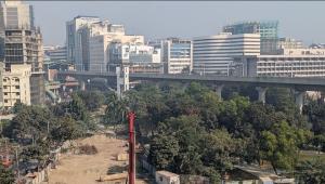 OP 2 - Apathy and lack of legal protection endanger dwindling urban greenery_1.jpg