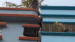 Why Bangladesh can no longer ignore its earthquake risk.jpg