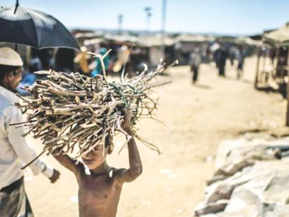 Rohingya refugee carrying firewood