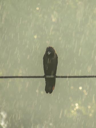 Photo: Md. Soliman Sohag