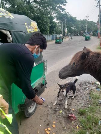 Animal Rescuers Bangladesh