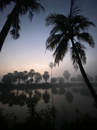 Waterside reflection