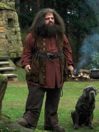 b0a0896712a97148a012c8d53331d4df-hagrid-costume-harry-potter-costumes.jpg