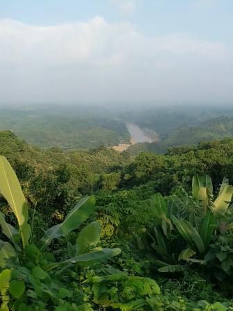 What Bangladesh’s forgotten trees tell us about nature’s fragility