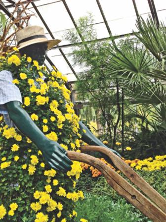 Allan Garden Conservatory