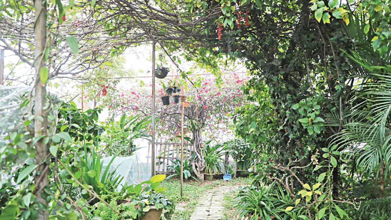 rooftop garden design